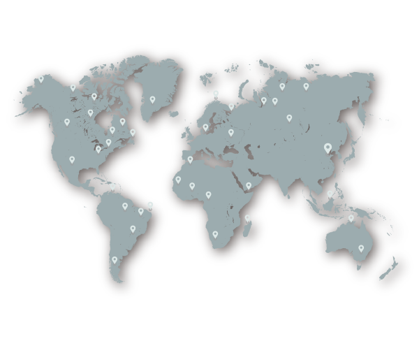 国内外市场分布